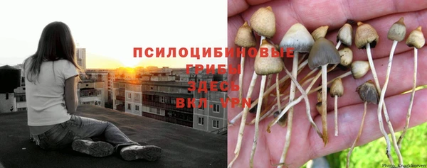 ECSTASY Белоозёрский