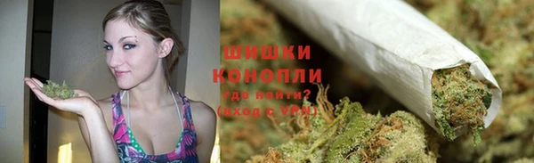 тгк Долгопрудный