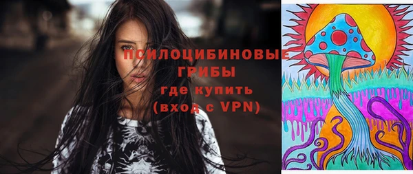 дживик Беломорск