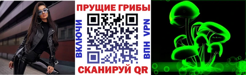 Псилоцибиновые грибы прущие грибы  OMG сайт  Звенигово 